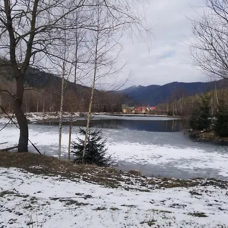 Рута *